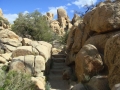 Joshua Tree NP